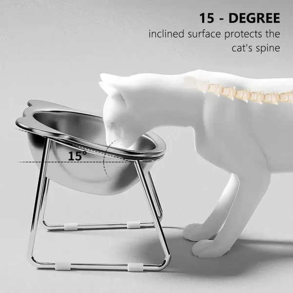 Tilted Raised Pet Bowl