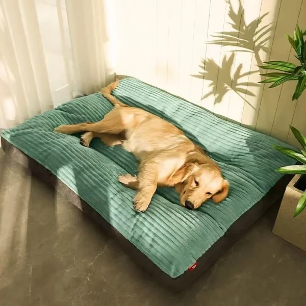 XXL Removable and Washable Dog Bed