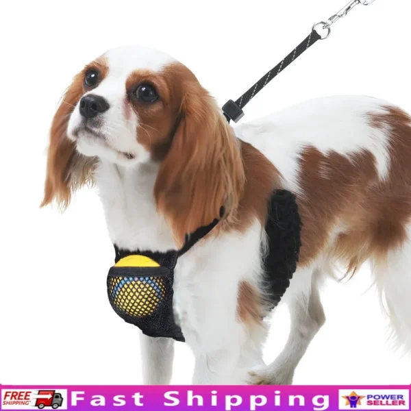 Non-Pulling Dog Harness with Storage Pouch