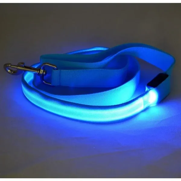 Glowing LED Dog Leash