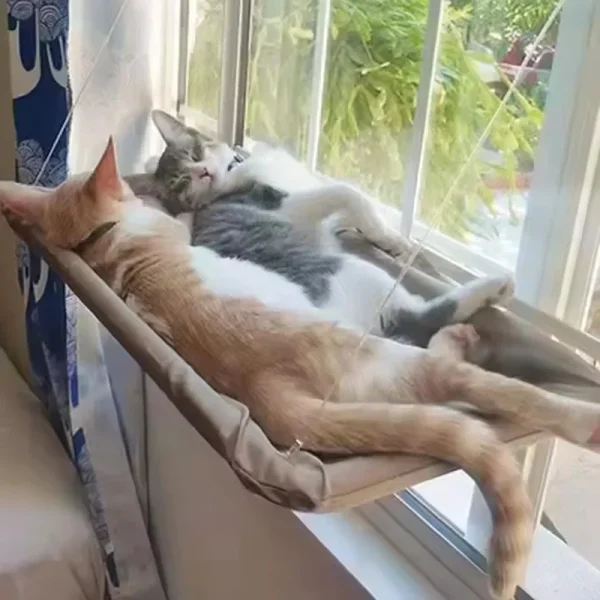 Cat Window Hanging Hammock Bed Suction Cup Space Saving